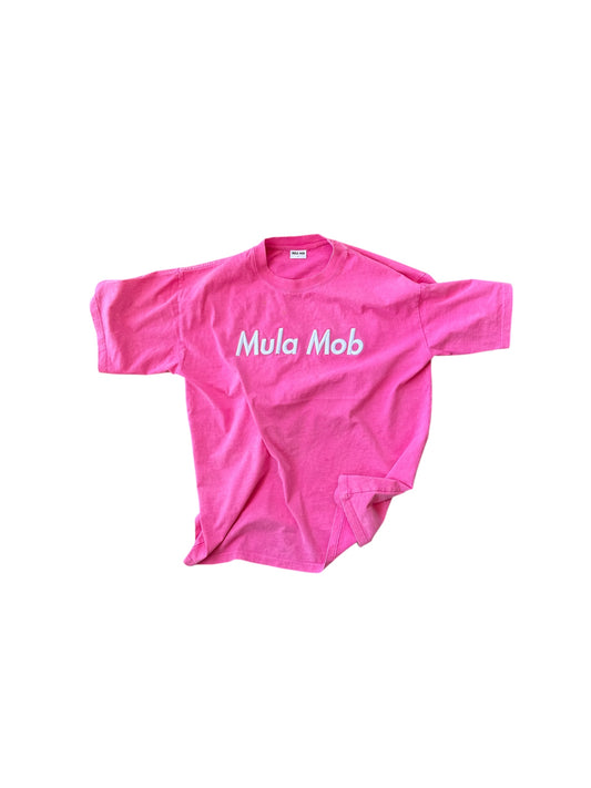 Mula Mob X Friends With Fiends